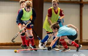 Stage d'hiver de hockey en salle u8/u10/u12